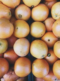 Full frame shot of oranges