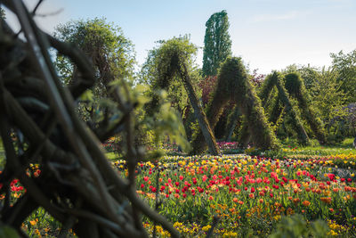 Flowering plants and trees on field against sky
