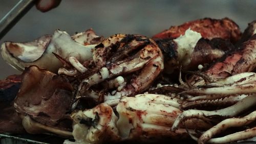 Close-up of meat on plate