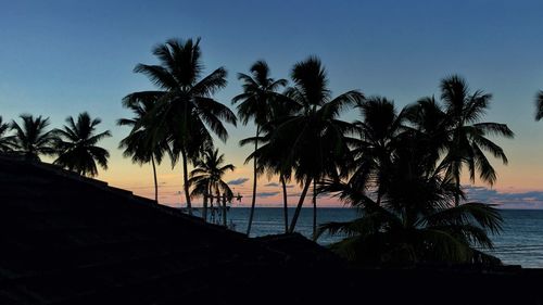 Silhouette palm trees at beach against sky