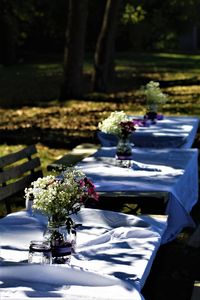 Close-up of potted plant on table
