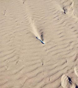 High angle view of footprints on sand at beach