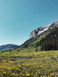 Scenic view of mountains against clear blue sky