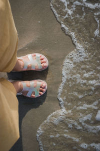 Low section of woman standing on beach