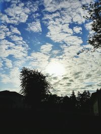 Low angle view of silhouette trees against sky