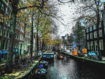 Canal amidst trees and buildings in city