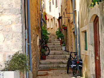 Potted plants on alley amidst buildings