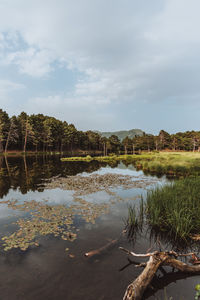 Scenic view of lake against sky