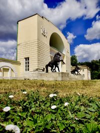 Man and flowering plants against sky