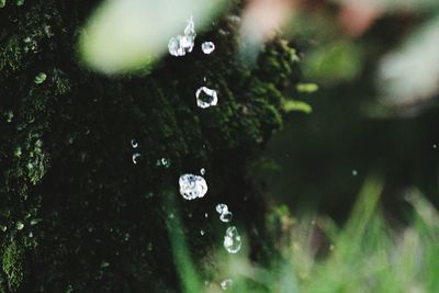 water