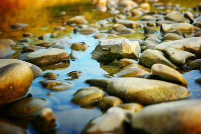 Surface level of pebbles