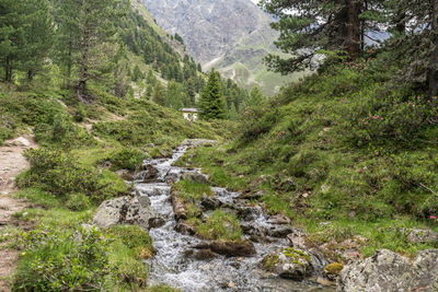 Scenic view of stream flowing through rocks