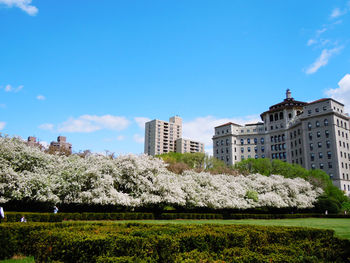 Scenic view of buildings against blue sky