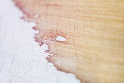 Close-up of hand on wood