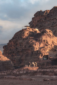 Man with donkey and dog companion in front of rocky terrain.