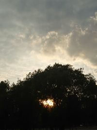 Low angle view of silhouette trees against sky during sunset