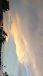 Low angle view of trees against sky