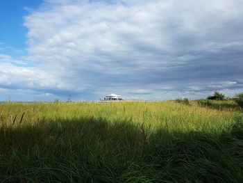 Scenic view of wheat field against sky