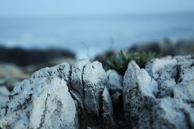 Close-up of sea against sky