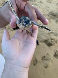 Midsection of person holding stick on beach