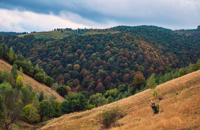 Colorful autumn landscape in the romanian carpathians