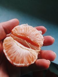 Close-up of hand holding apple