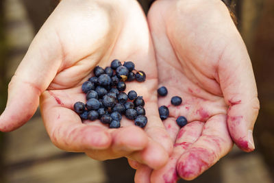 Close-up of hand holding blackberries