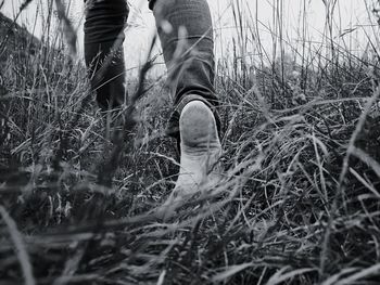 Low section of person walking on field