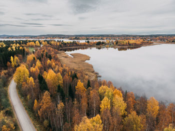 Panoramic view of trees and plants against sky