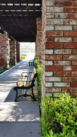 View of plants against brick wall