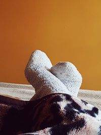 Close-up of human legs on sand