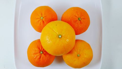 High angle view of orange fruit in plate