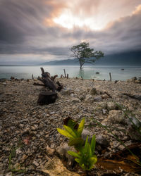 Scenic view of sea against sky during sunset