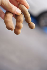 Close-up of person holding hands