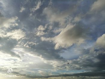 Low angle view of bird flying in sky