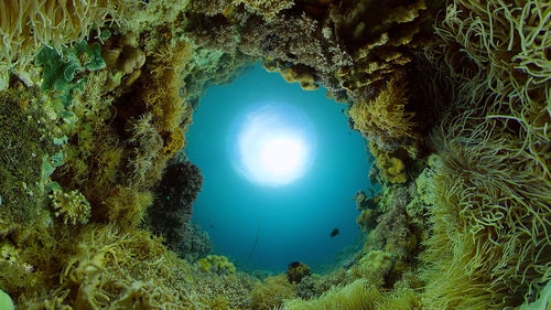 cave