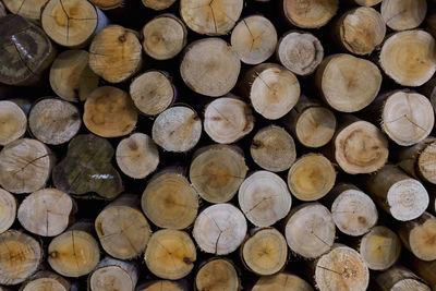 Full frame shot of logs in forest