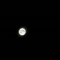 Low angle view of moon at night