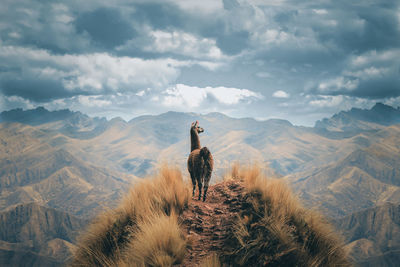 Man standing on mountain against sky