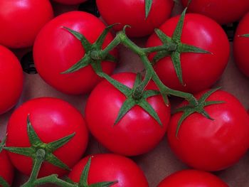 Full frame shot of tomatoes