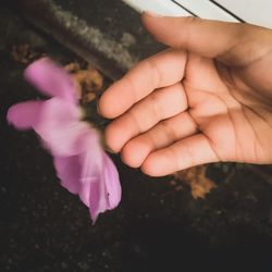 Close-up of baby hand