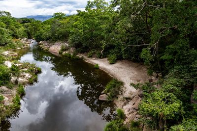 Scenic view of river amidst trees in forest against sky