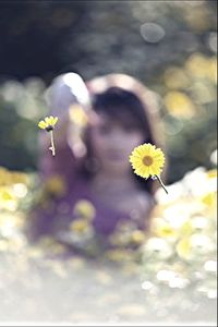 Close-up of yellow flower