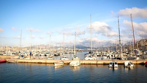 Sailboats moored at harbor