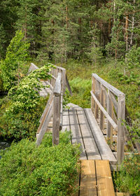 Footpath amidst trees in forest