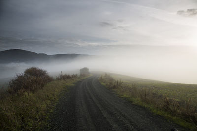 Road passing through field