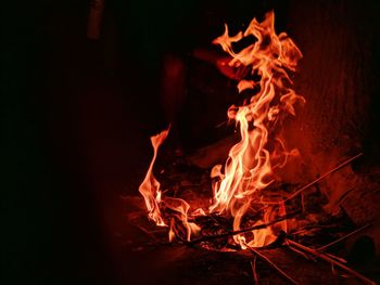 Close-up of bonfire at night