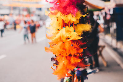 Close-up of orange flower