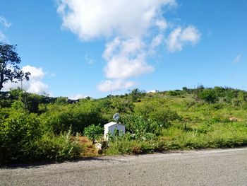 Rear view of man walking on road against sky