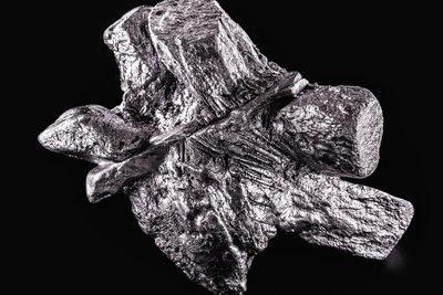 Close-up of a lizard on rock against black background